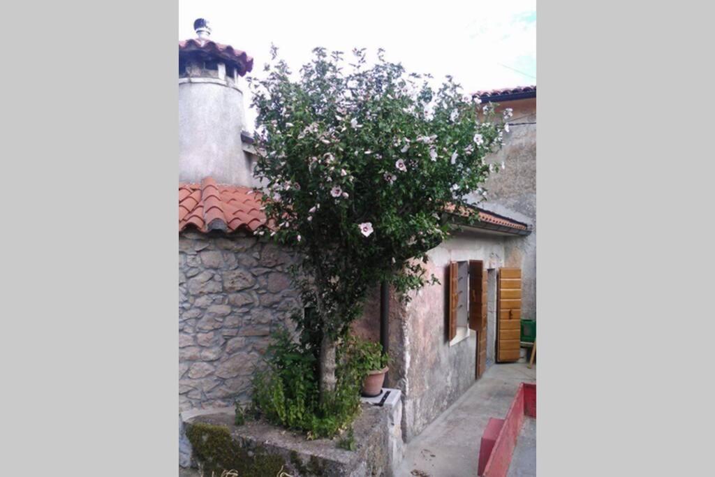 Mošćenička Draga Vacation Home Marinici מראה חיצוני תמונה